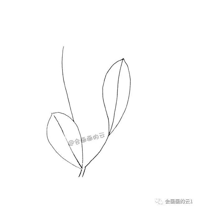 没想到画画这么简单,手把手教你用1支笔画叶子