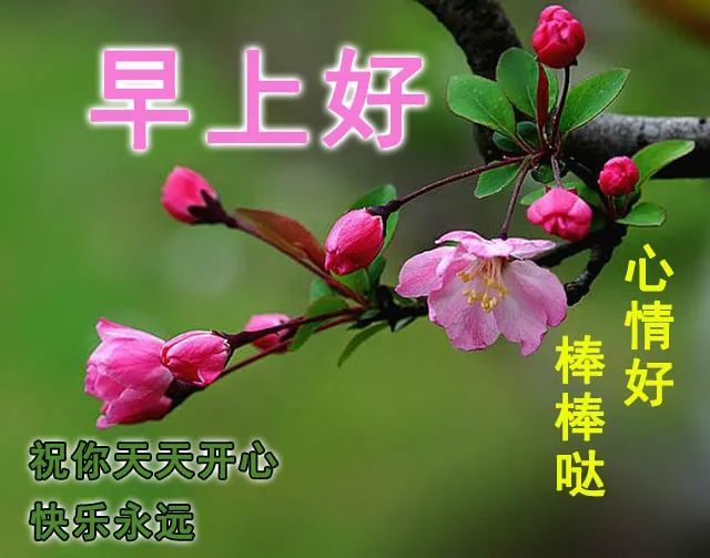 7月16日,早上好!美丽的早晨,满满的牵挂,愿我们都健康