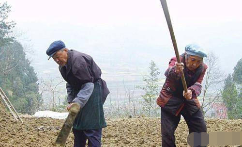 农村老人大多为什么还要靠种地或打零工维持生活?农民