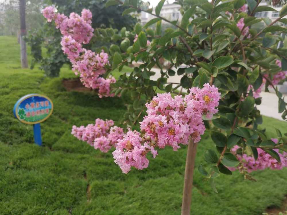 《曾国藩家书》：静心独处有益于养生，舒缓心情可治疗失眠