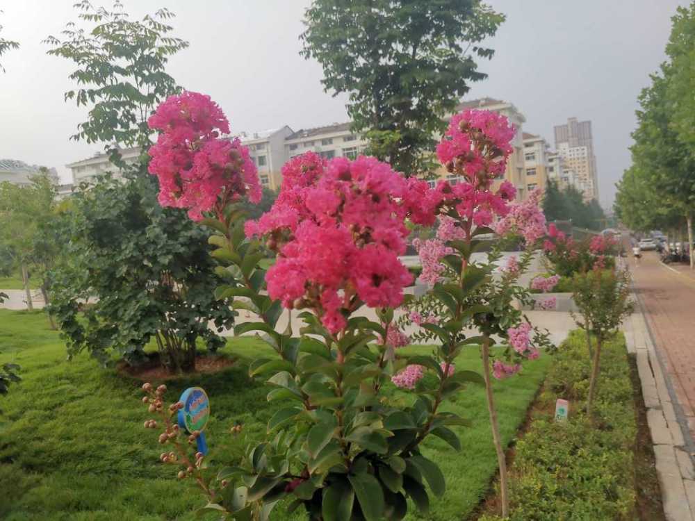 《曾国藩家书》：静心独处有益于养生，舒缓心情可治疗失眠