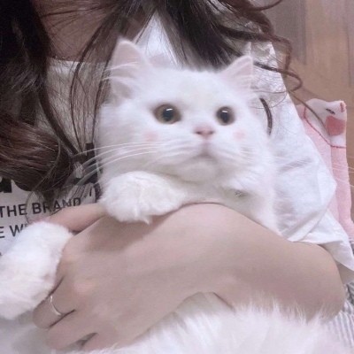 不露脸部位女头·心动的歌词文案