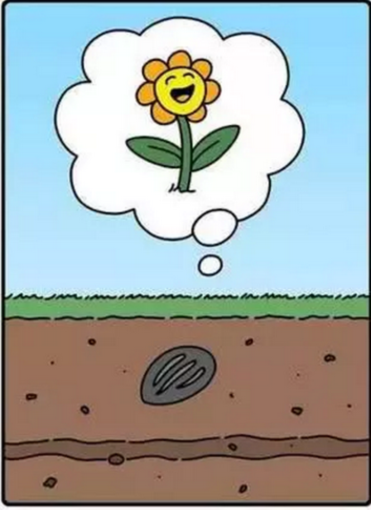 奇趣漫画:种子冲破土壤,以为长成想象中的模样,结果是