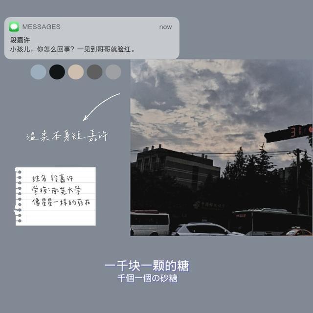 段嘉许是桑稚不能放弃的梦想
