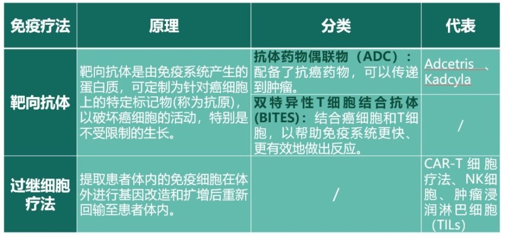 天降奇兵！科学家发现“万能抗癌T细胞”，临床研究即将开启