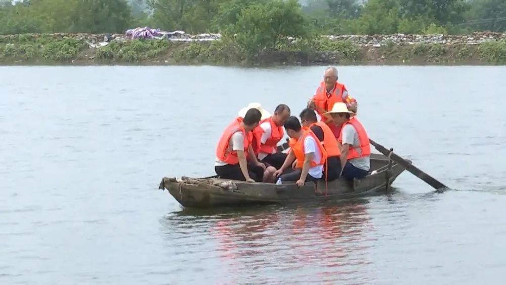 罗家桥人口_大治罗家桥梅家湾地图