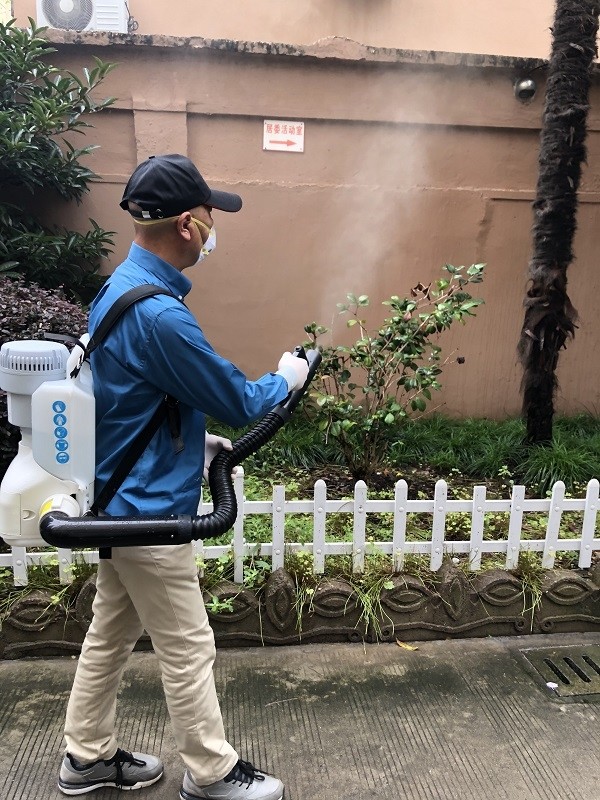 超长梅雨季莫让蚊虫超长待机上海全面启动夏季蚊虫专项控制行动