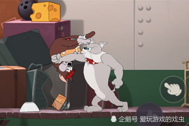 猫和老鼠手游游戏冷知识Ⅰ有关斯派克抓投的有趣现象知多少