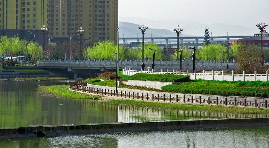 受到广大市民的一致好评 渭河湿地生态公园 万古渭河换新颜 依湖而建