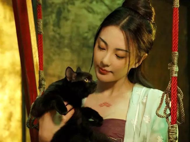 张雨绮作品中的惊艳造型猫妖传妖媚而这部新作更是冷艳a爆