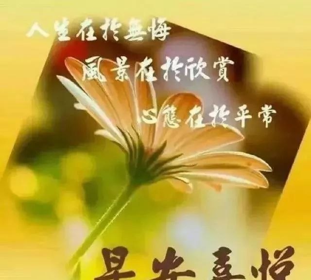 最新版的早上好问候语温馨句子 清晨鲜花祝福语大全