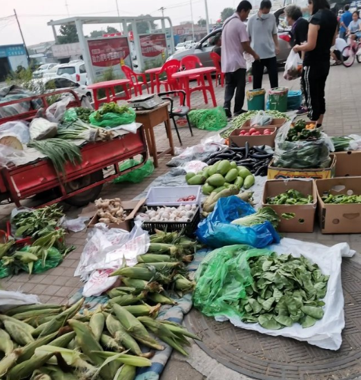 卖菜摆摊垃圾成堆小区住户不忍了