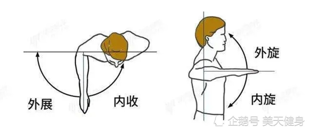 3,肩部没有内旋