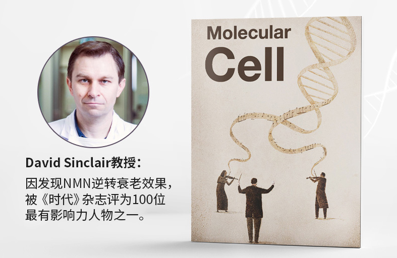 nad 作为一种重要的辅酶,关系到人体细胞的代谢,糖酵解,dna复制等.