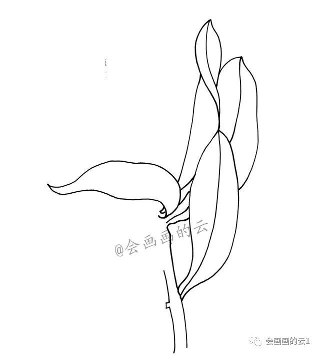 再把左下角的叶子完成,画的时候注意线条的流畅度,不要断断续续,层次