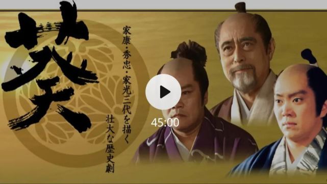 大河剧葵德川三代3467御落胤