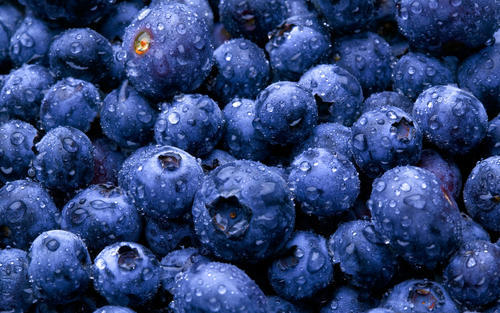 这几种蓝色的水果,很多人没听过没见过,吃过两种以上算土豪,你是土豪