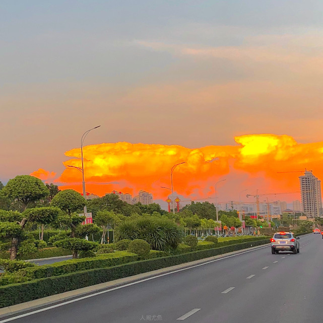 今日橙色背景图