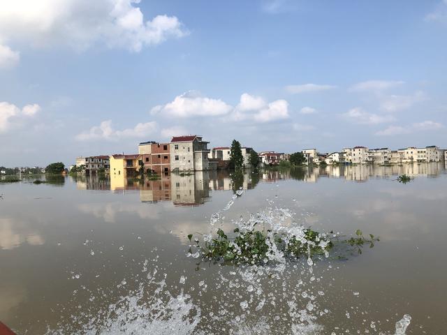 被洪水淹没的油墩街镇同兴村.水面覆盖周围5个行政村的40个村子.