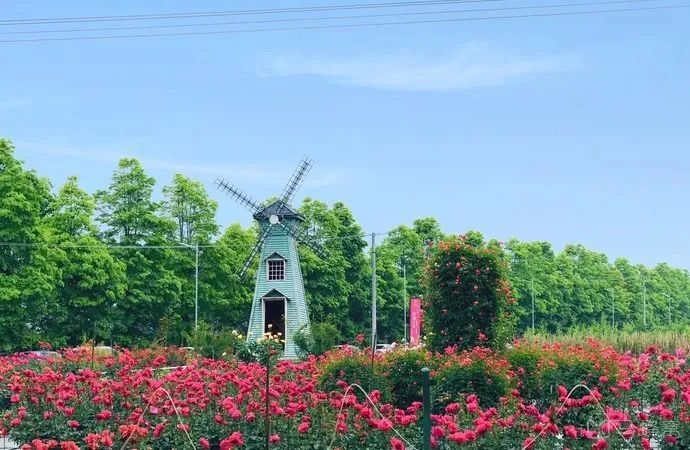 漫花庄园 漫花庄园景区位于"中国香城"新都区蜀龙大道,以"乐享花生活