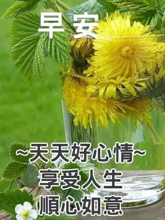 7月18最新早上好祝福问候短信 早晨祝福唯美图片温馨