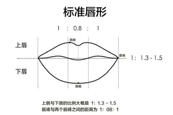 嘴唇厚度:东方人的上下唇比例一般约为1:1.5;欧洲人约为1:1.