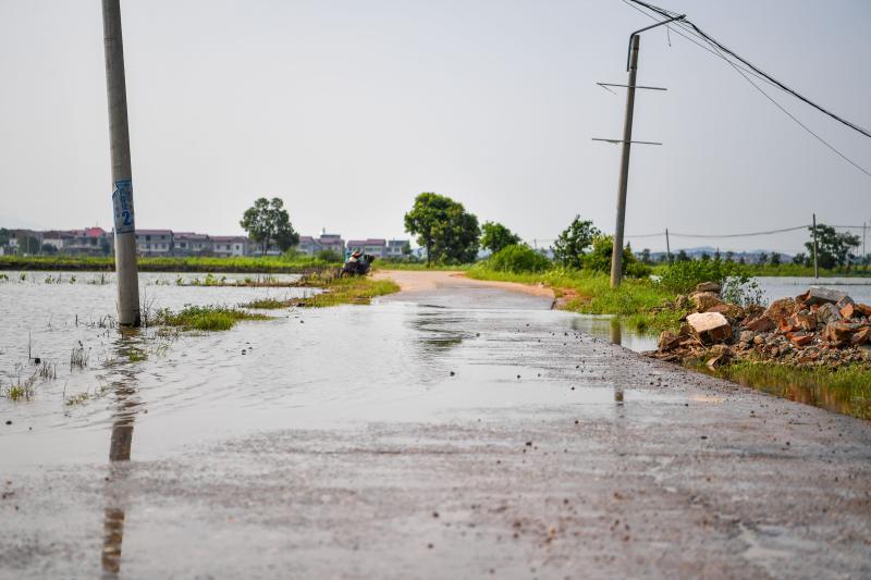 洪水已没过乡村道路.