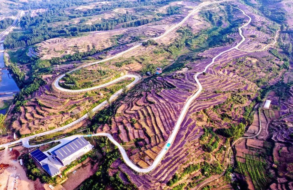 临朐九山,美丽乡村有大景观