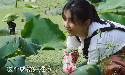 张子枫挖藕累得满头大汗,镜头却故意给特写,导演存心搞事情