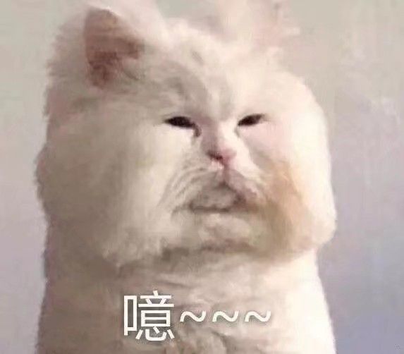 表情包:可爱有趣表情包