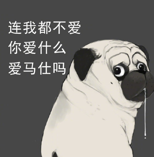 爆笑:猫狗表情包,真的有被巴扎黑笑到,我承认我爱了
