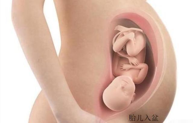 怀孕7个月肚子"小了一圈",是胎宝瘦了吗?4个原因准妈妈需知晓