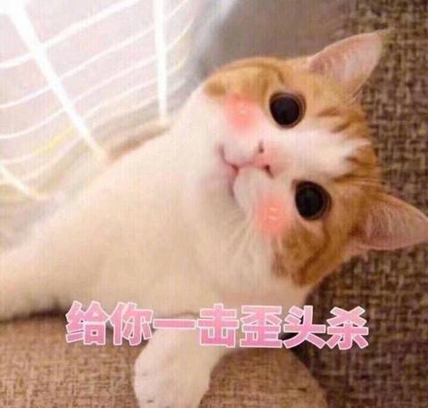 猫咪表情包:给你一击歪头杀!