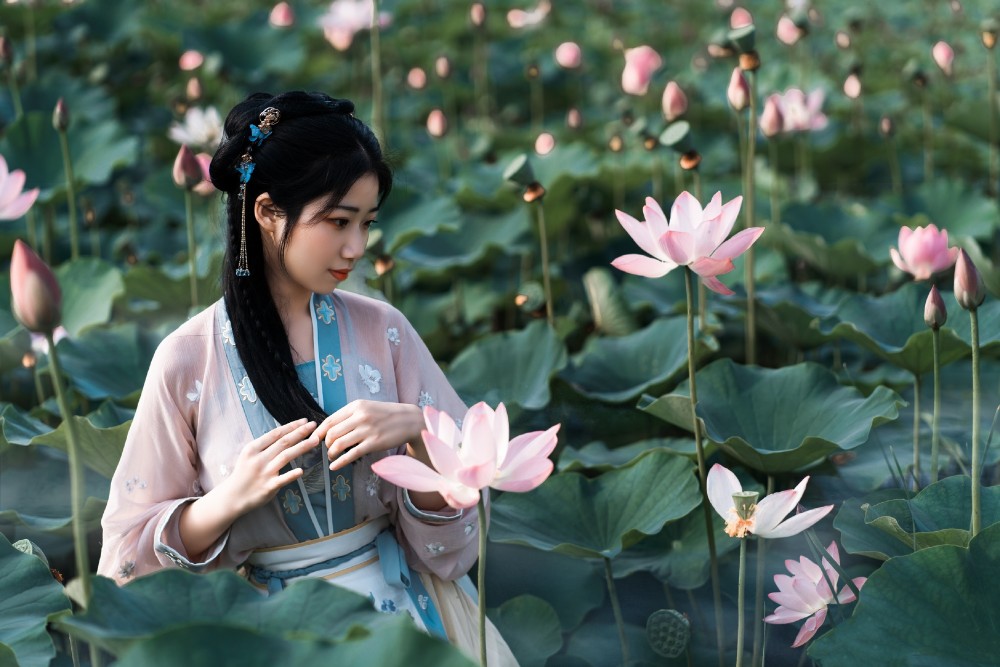 【汉服摄影】镜湖三百里,菡萏发荷花