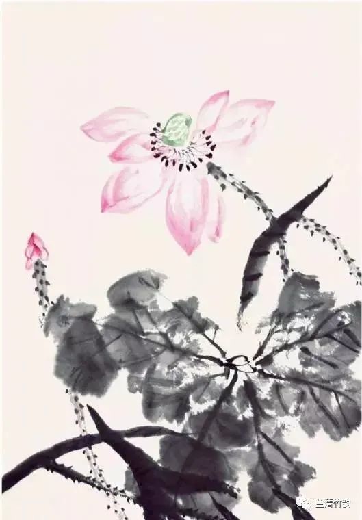 怎样画荷花:书画家郭书仁先生手把手教你画水墨荷花图