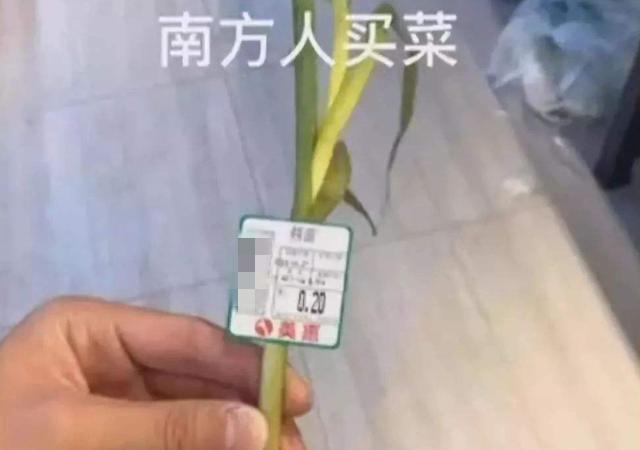 看完东北人买菜之后再看南方人买菜真是没有对比就没有伤害