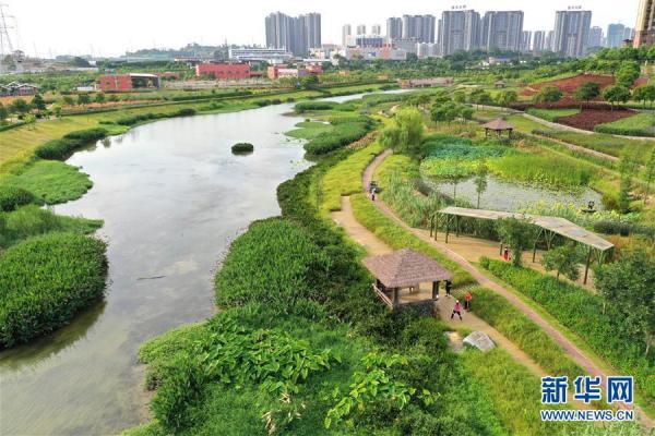 南宁那考河湿地公园一条臭水沟的华丽转身