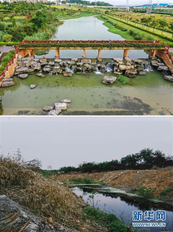 这是一张拼版照片:上图为7月18日拍摄的南宁市那考河湿地公园景色(无