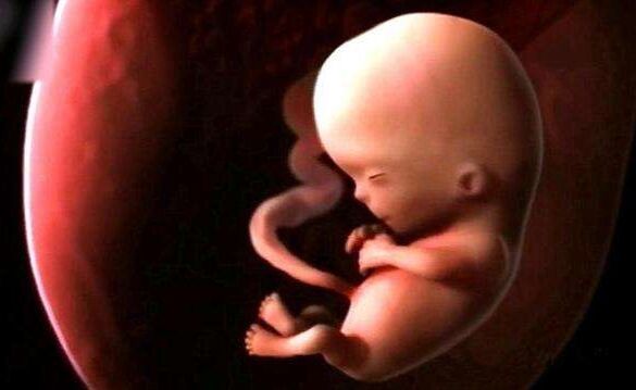四个半月胎儿有多大,根本不能想象,孕妈睡觉总翻身会