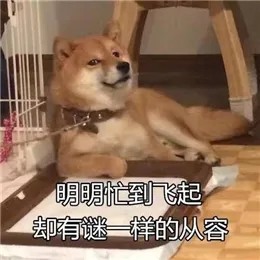 搞笑表情包分享