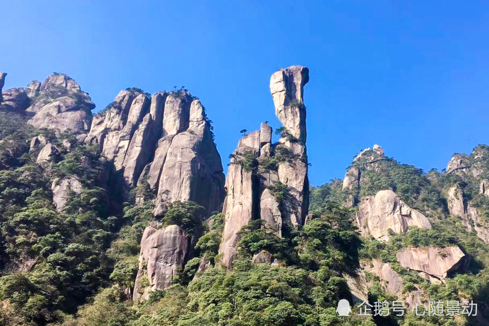 仙山什么什么成语_小花仙山梦