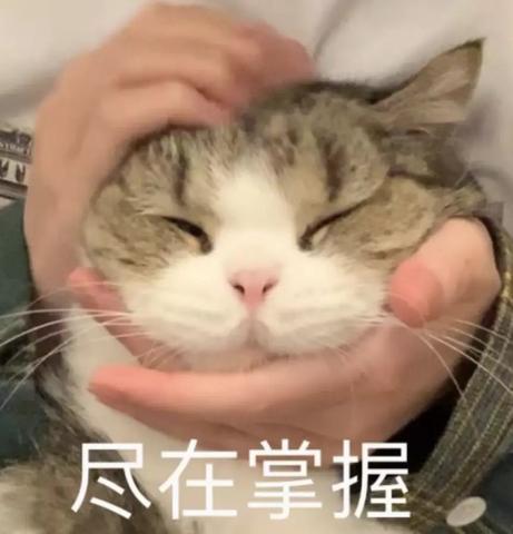 猫咪表情包:呜呜呜……不给我买我就生气了!