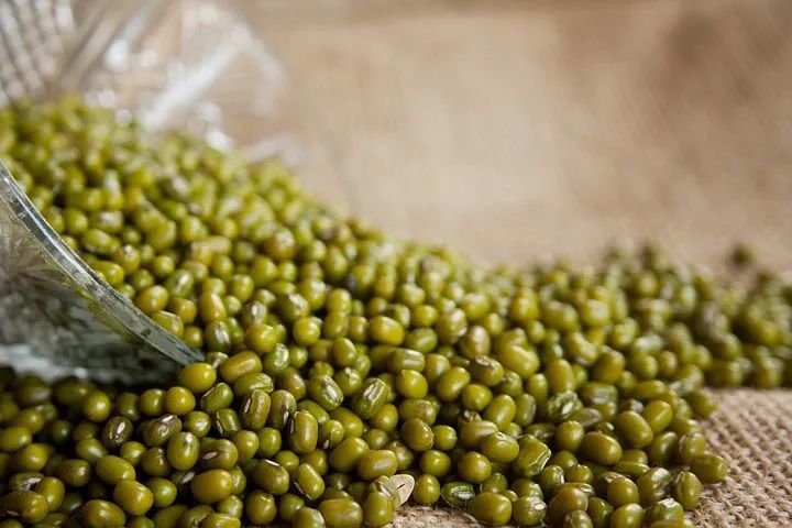 【每周一味】绿豆
