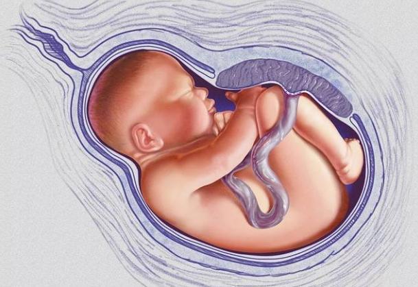 孕期"摸肚"胎儿有感觉,但4类孕妇不能"乱动,要学会控制