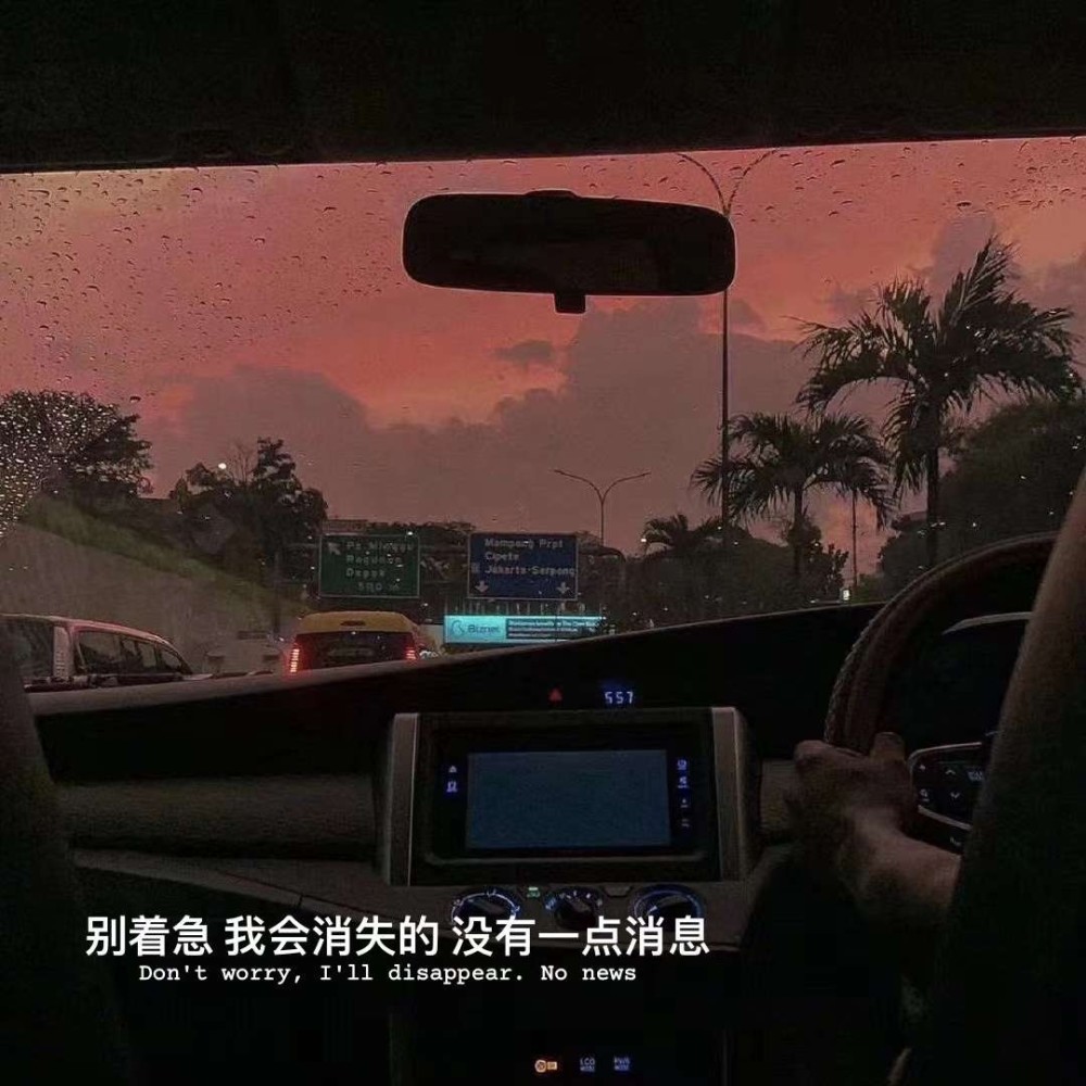 丧到极致的抑郁文案·.失去的人那么多,唯独你离开最难过