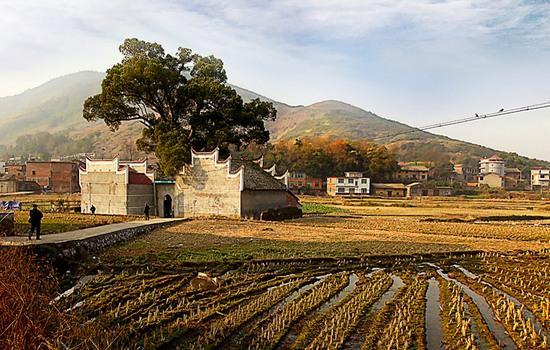 上栗县 GDP_上栗县最新城市规划图(2)