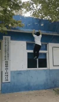 学陈师行的轻功并不难！养蜂人尹宪亮身轻如燕，能轻松上树飞檐走壁