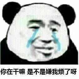 表情包 欠揍熊猫头