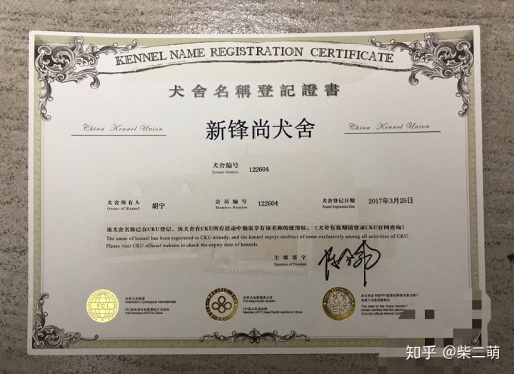 柴犬,首先应该去正规犬舍,要查看犬舍相应资质,cku证书的编号是可以到