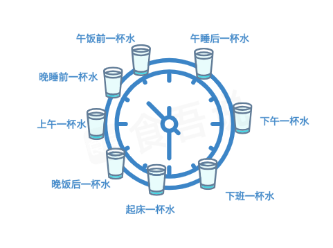 喝水时刻表